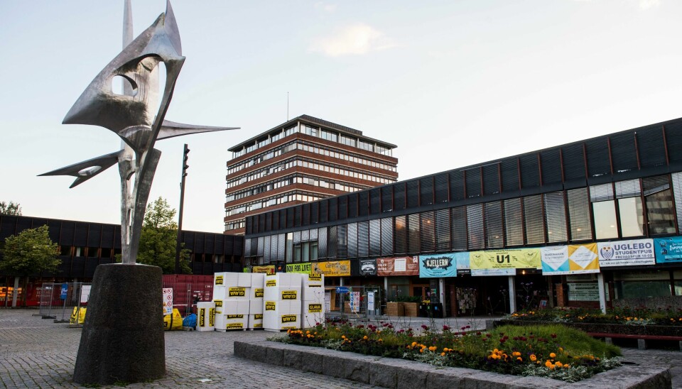 Universitetet i Oslo har fortsatt de mest populære studiene. Flest doktorgrader ble avlagt ved Universitetet i Oslo. Arkivfoto: Jon Olav Nesvold / NTB
