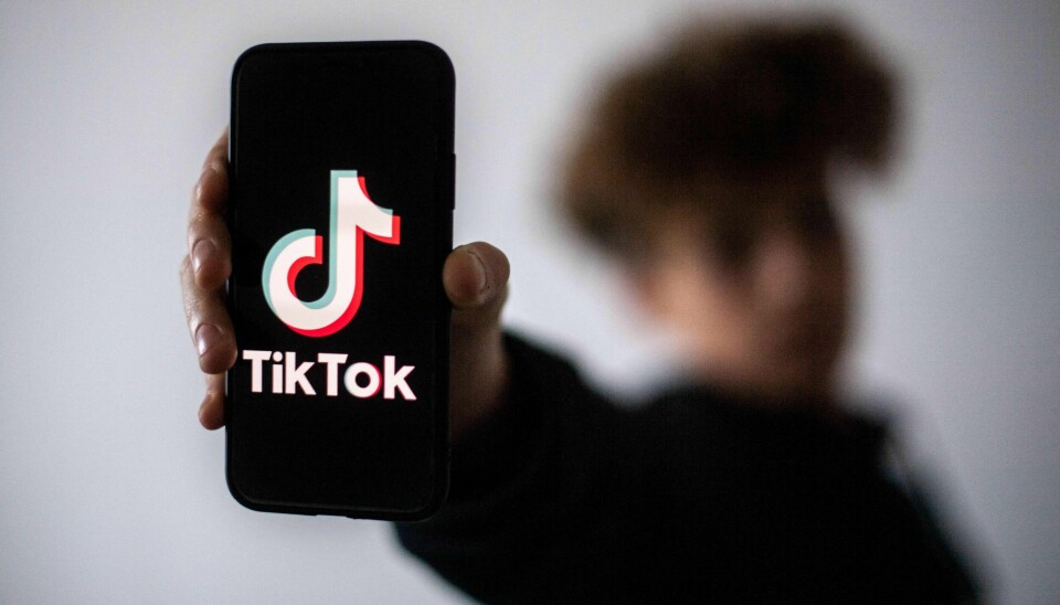 Internett skaper innimellom globale fenomener, og i 2022 er det en selverklært alfa-hann som skal lede deg ut at matrisen av global poltikk, gjøre deg rik, gi deg arbeidsetikk og skaffe deg damer for 50 dollar i måneden, skriver Linn Stalsberg. .