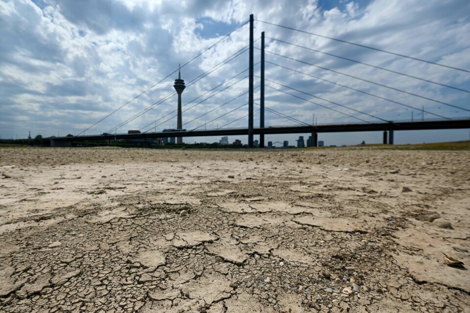 Tørr jord og et delvis uttørket elveleie langs Rhinen i Dusseldorf, Tyskland. Tørr jord og et delvis uttørket elveleie langs Rhinen i Dusseldorf, Tyskland.