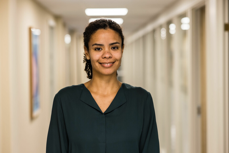 Seniorrådgiver i Likestillings- og diskrimineringsombudet, Natasha Telson, forteller at det er ombudet som fører tilsyn med om norsk lov og forvaltningspraksis stemmer overens med FNs konvensjonen mot rasediskriminering. Seniorrådgiver i Likestillings- og diskrimineringsombudet, Natasha Telson