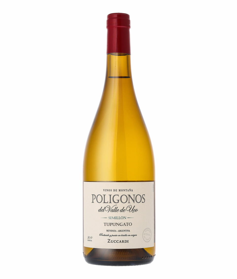 VIN: Zuccardi Polígonos Semillon 2021, kr 214,80. Foto: Produsenten VIN: Zuccardi Polígonos Semillon 2021, kr 214,80. Foto: Produsenten