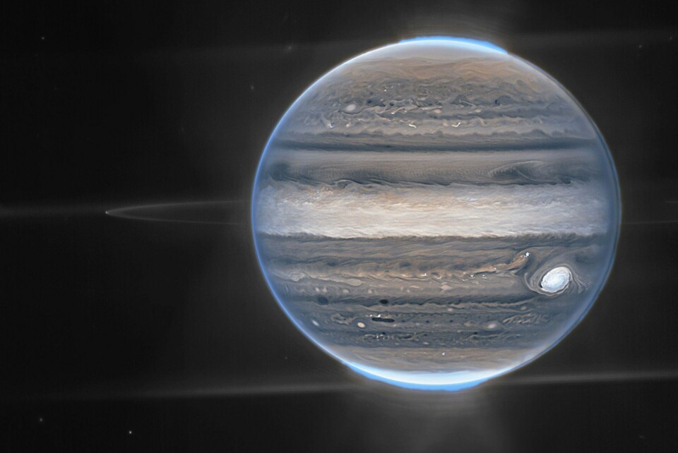 Dette bildet av Jupiter ble tatt i juli, men fargene er manipulert i ettertid. Dette bildet av Jupiter ble tatt i juli, men fargene er manipulert i ettertid. Foto: Nasa / AP / NTB