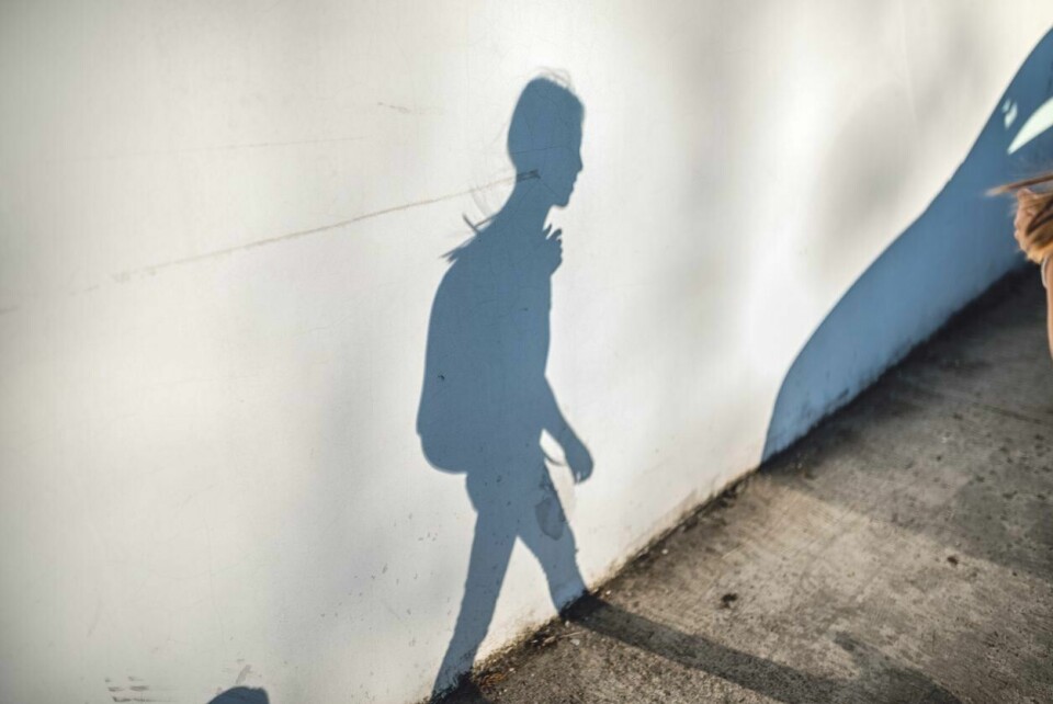 i er mange fagpersoner som har advart mot at skolene bryter sin taushetsplikt og sender uriktige meldinger til barnevernet, skriver Heidi Wittrup Djup.