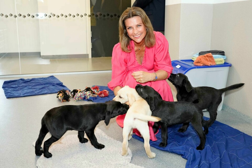 Ås 20220907. Prinsesse Martha Louise foretar den offisielle åpningen av Hundeskolen Veivisere i regi av Norges Blindeforbunds førerhundanlegg på Ås.Prinsessen fikk møte et valpekull.Foto: Lise Åserud / NTB Ås 20220907. Prinsesse Martha Louise foretar den offisielle åpningen av Hundeskolen Veivisere i regi av Norges Blindeforbunds førerhundanlegg på Ås.Prinsessen fikk møte et valpekull.Foto: Lise Åserud / NTB