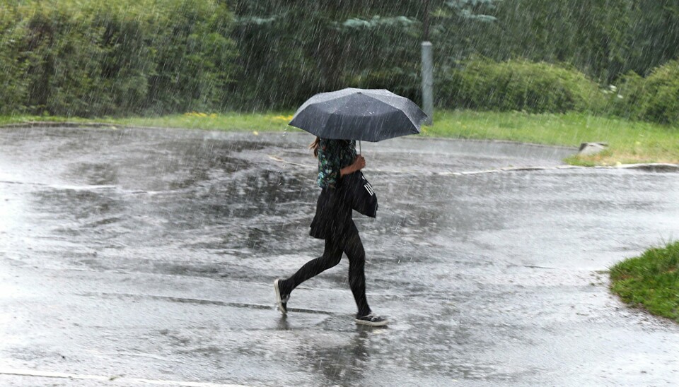 Denne sommeren har vist at klimakrisen er her nå, skriver Erik Skauen i MDG Fredrikstad. Dei fleste i Noreg vil få minst to dagar med regn denne veka, melder Meteorologisk institutt. Foto: Vidar Ruud / NTB / NPK