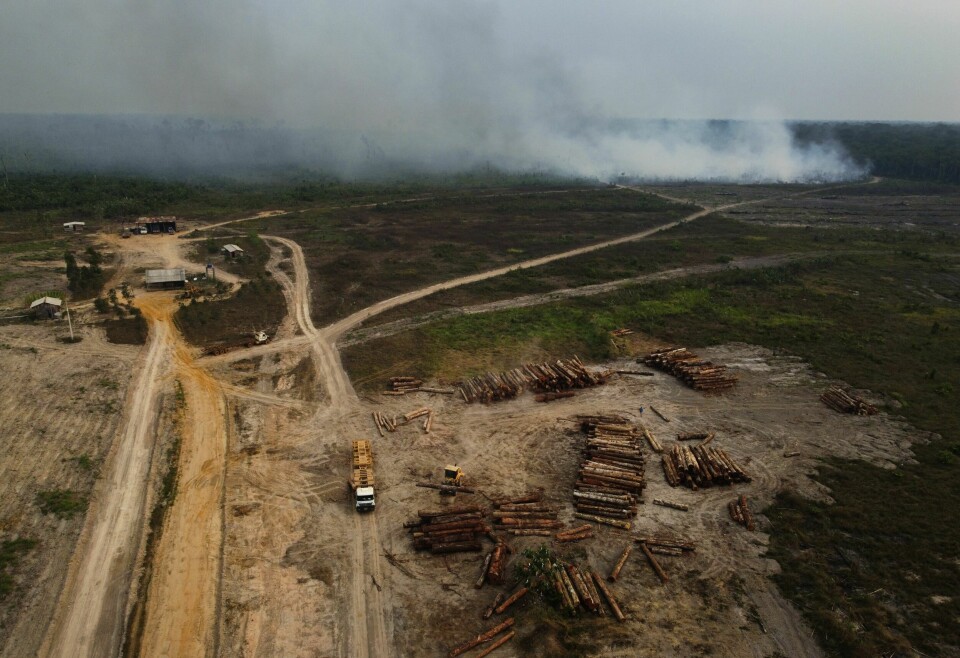 En skogbrann i nærheten av et hogstområde i den brasilianske delstaten Amazonas lørdag. En skogbrann i nærheten av et hogstområde i den brasilianske delstaten Amazonas lørdag. Foto: Edmar Barros / AP / NTB