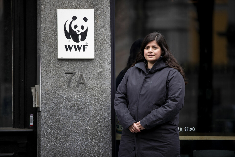 – Stadig flere ser at natur- og klimakrisen krever internasjonalt samarbeid og nye løsninger man må finne i fellesskap. Denne høsten blir en test på evnen til å bli enige om slike løsninger på globalt nivå, sier Karoline Andaur, generalsekretær i WWF Verdens naturfond. – Stadig flere ser at natur- og klimakrisen krever internasjonalt samarbeid og nye løsninger man må finne i fellesskap. Denne høsten blir en test på evnen til å bli enige om slike løsninger på globalt nivå, sier Karoline Andaur, generalsekretær i WWF Verdens naturfond.
