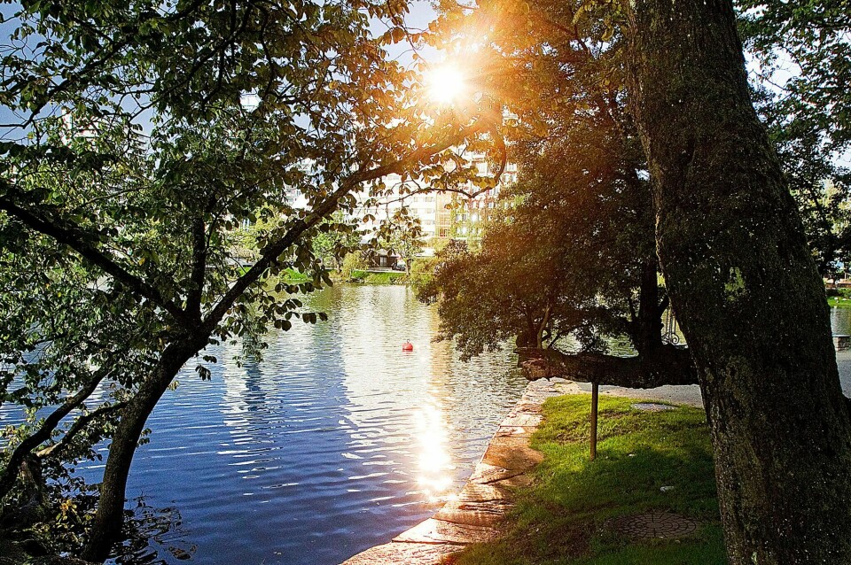 Solrik høstferie