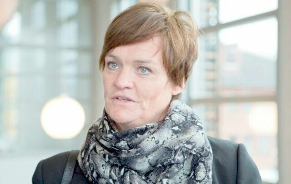 Rune Øygards forsvarer, advokat Mette Yvonne Larsen, har tidligere avvist påstander om at hun har hatt en slags privatetterforsker i Vågå.