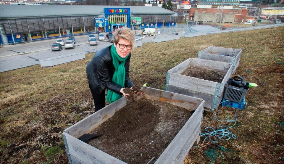 – Miljøpartiet De Grønne (MDG) vil legge til rette for at urban matproduksjon blir et eget nasjonalt og lokalt satsingsområde, sier talskvinne Hilde Opoku. FOTO: ARNE OVE BERGO