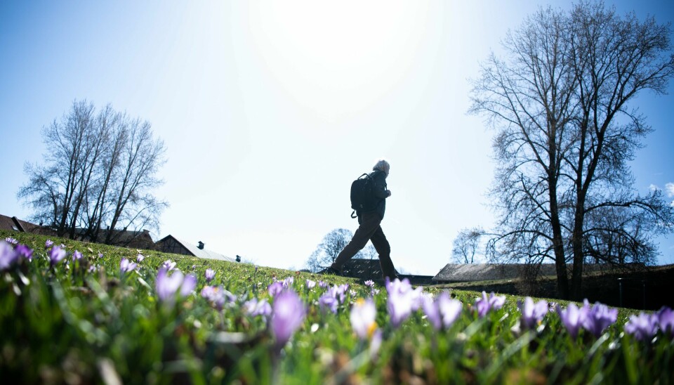 Det har vært sol og varmere vær tirsdag. Bildet er tatt i Oslo tidligere i april. Det har vært sol og varmere vær tirsdag. Bildet er tatt i Oslo tidligere i april. Foto: Annika Byrde / NTB