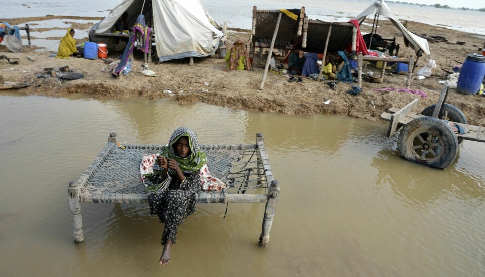 Pakistan ble hardt rammet av flom i fjor høst. Minst 1.700 mennesker omkom i flommen, som også utslettet store deler av jordbruksland. Pakistan ble hardt rammet av flom i fjor høst. Minst 1.700 mennesker omkom i flommen, som også utslettet store deler av jordbruksland. Arkivfoto: AP / NTB