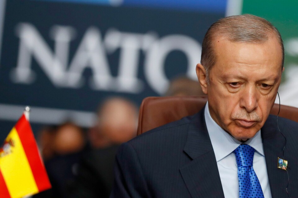 Tyrkias president Recep Tayyip Erdogan fikk lovnader om at Sverige skal fortsette arbeidet mot terror, jobbe for økt handel og investeringer og å støtte Tyrkia i prosessen med EU. Tyrkias president Recep Tayyip Erdogan fikk lovnader om at Sverige skal fortsette arbeidet mot terror, jobbe for økt handel og investeringer og å støtte Tyrkia i prosessen med EU. Foto: AP Photo/Mindaugas Kulbis/NTB