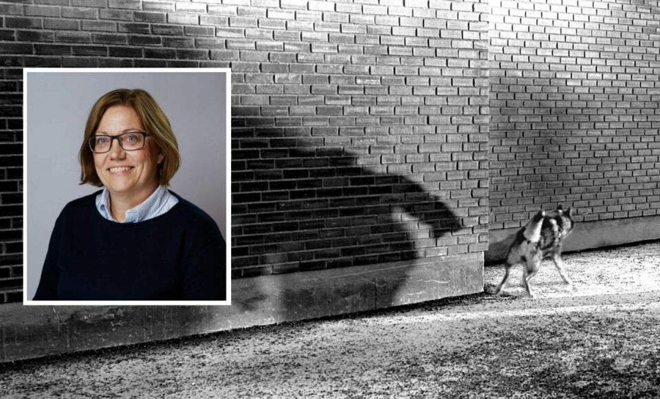 – Vi får mange bekymringsmeldinger med ulik alvorlighetsgrad, sier Jorunn Aasgaard Grini, avdelingssjef for Mattilsynet i Østfold og Follo. – Vi får mange bekymringsmeldinger med ulik alvorlighetsgrad, sier Jorunn Aasgaard Grini, avdelingssjef for Mattilsynet i Østfold og Follo.