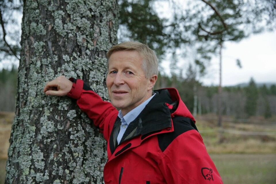 – Over 600 tilbudte skogområder er til behandling hos vernemyndighetene, og skogeierne er klare til å tilby flere, forteller Per Skorge, administrerende direktør i Norges Skogeierforbund. – Over 600 tilbudte skogområder er til behandling hos vernemyndighetene, og skogeierne er klare til å tilby flere, forteller Per Skorge, administrerende direktør i Norges Skogeierforbund.
