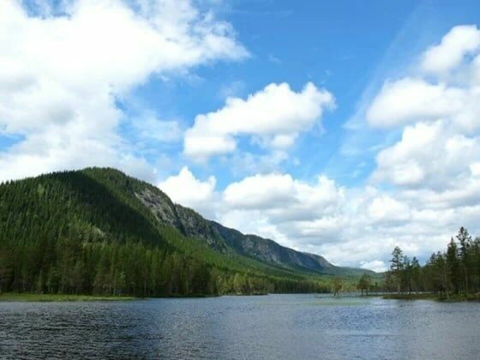 I Vassfaret i Viken fylke er nå en stor skogdal vernet som naturreservat. I Vassfaret i Viken fylke er nå en stor skogdal vernet som naturreservat.