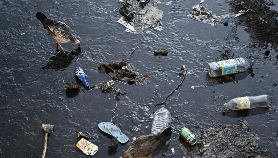 Norge skal fortsatt gå i front for å styrke internasjonal innsats for rene og bærekraftige hav, inkludert marin forsøpling og mikroplast, skriver innleggsforfatter. Plastikk i havet