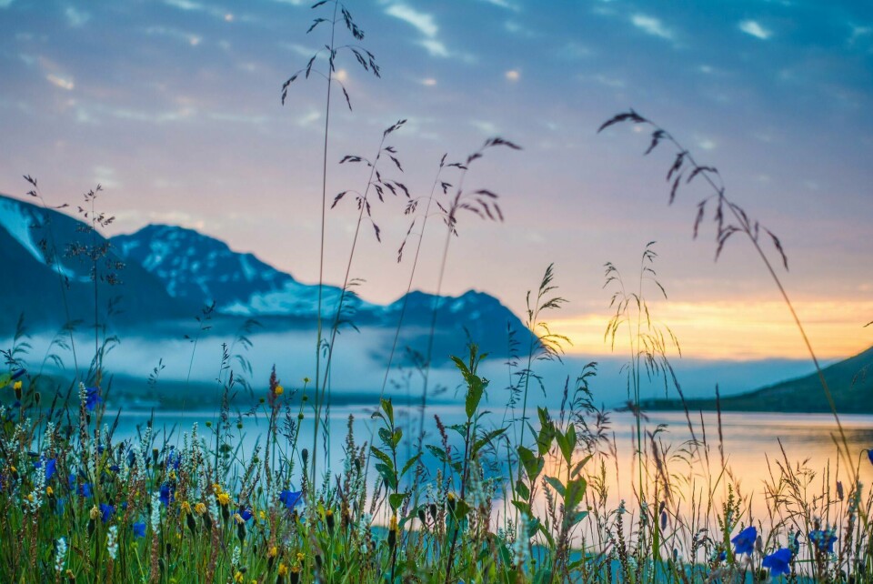 Sløser vi mindre, er det mye lettere å nå klimamålene og se for seg et samfunn i pakt med naturens tålegrenser, skriver spaltist Anders Bjartnes. Sløser vi mindre, er det mye lettere å nå klimamålene og se for seg et samfunn i pakt med naturens tålegrenser, skriver spaltist Anders Bjartnes.