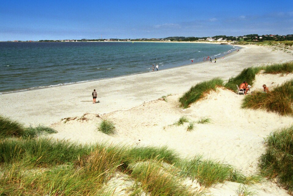 Bilde fra Solastranden Bilde fra Solastranden