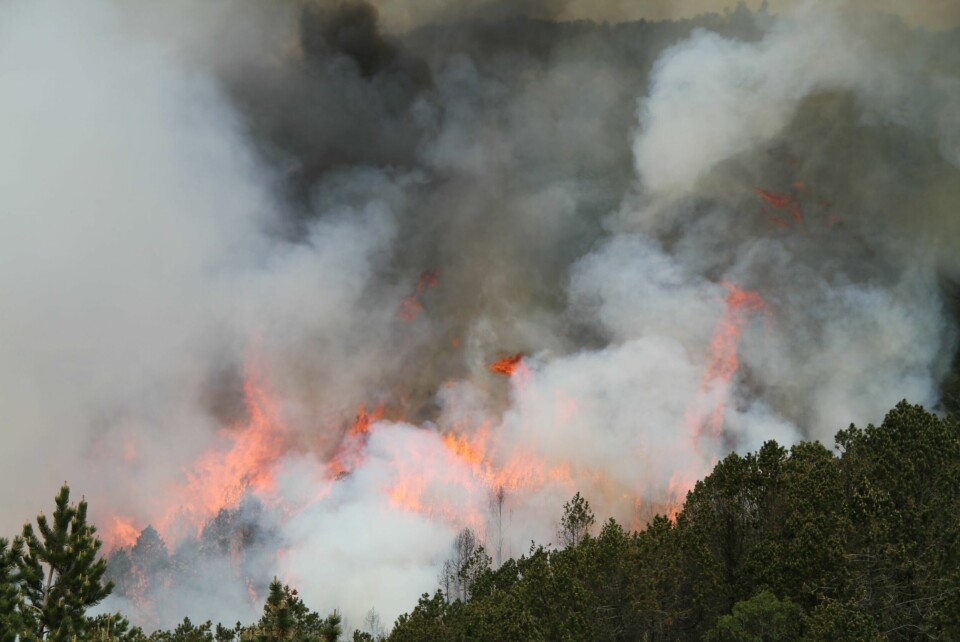 Skogbranner, grillforbud, vannsparing og tørre åkre har også blitt en del av den norske sommeren. Her fra en skogbrann i Haugesund sommeren 2012. Skogbranner, grillforbud, vannsparing og tørre åkre har også blitt en del av den norske sommeren. Her fra en skogbrann i Haugesund sommeren 2012.