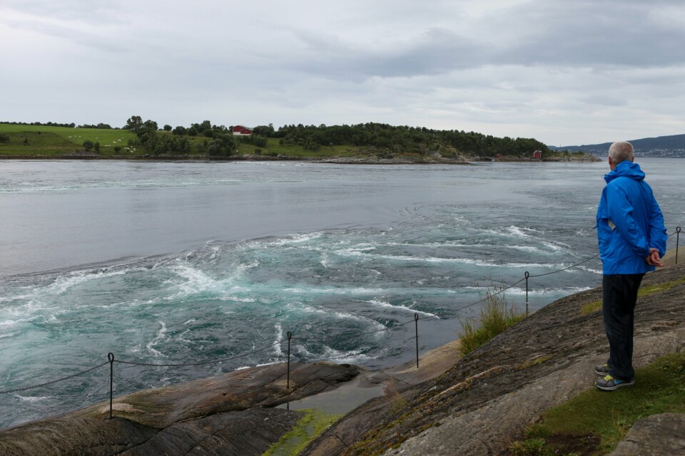 Saltstraumen har lenge vært en populær fiskeplass både for lokale og tilreisende sportsfiskere, men det en krevende fiskeplass, opplyser Åsmund Andersen hos Statsforvalteren i Nordland. Saltstraumen har lenge vært en populær fiskeplass både for lokale og tilreisende sportsfiskere, men det en krevende fiskeplass, opplyser Åsmund Andersen hos Statsforvalteren i Nordland.