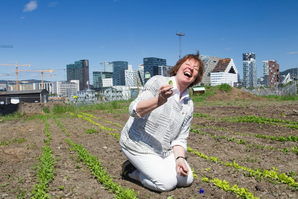 Marianne Borgen på bysætra på Losæter ved Bjørvika i 2016. Borgen