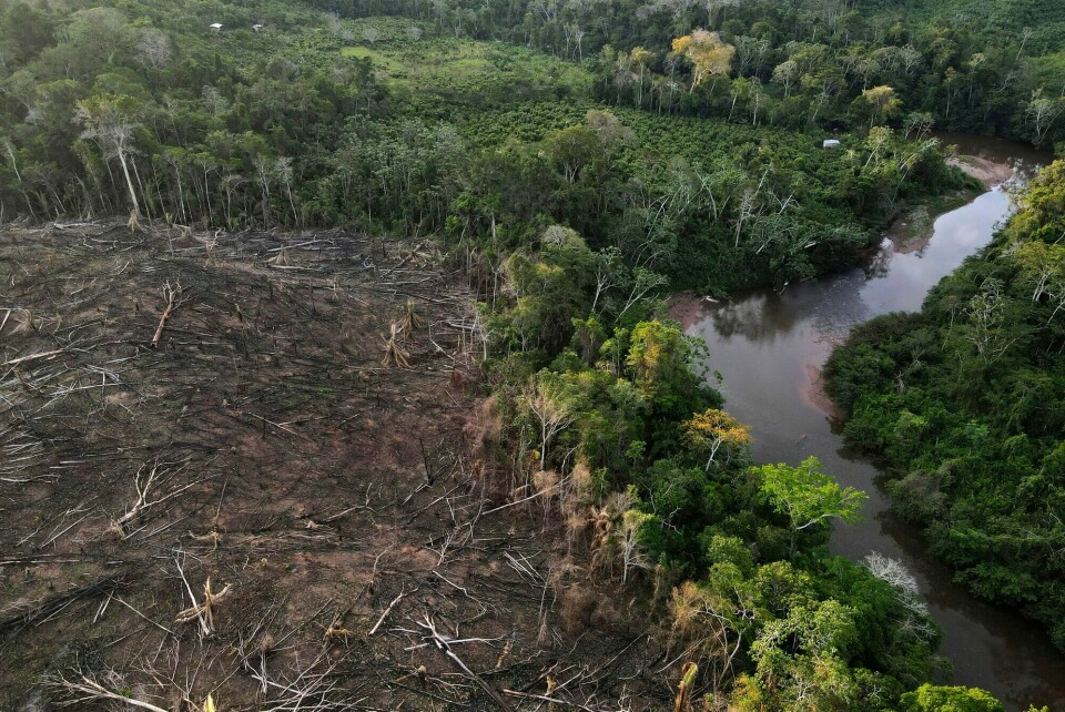 Avskoging er et enormt klimaproblem. Her fra en del av Amazonas i Peru. Avskoging er et enormt klimaproblem. Her fra en del av Amazonas i Peru.