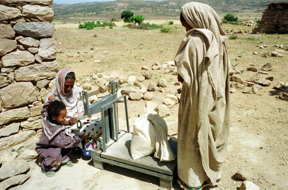Kvinnelige bønder henter såkorn i en lokal frøbank i Tigray-provinsen. Kvinnelige bønder henter såkorn i en lokal frøbank i Tigray-provinsen.