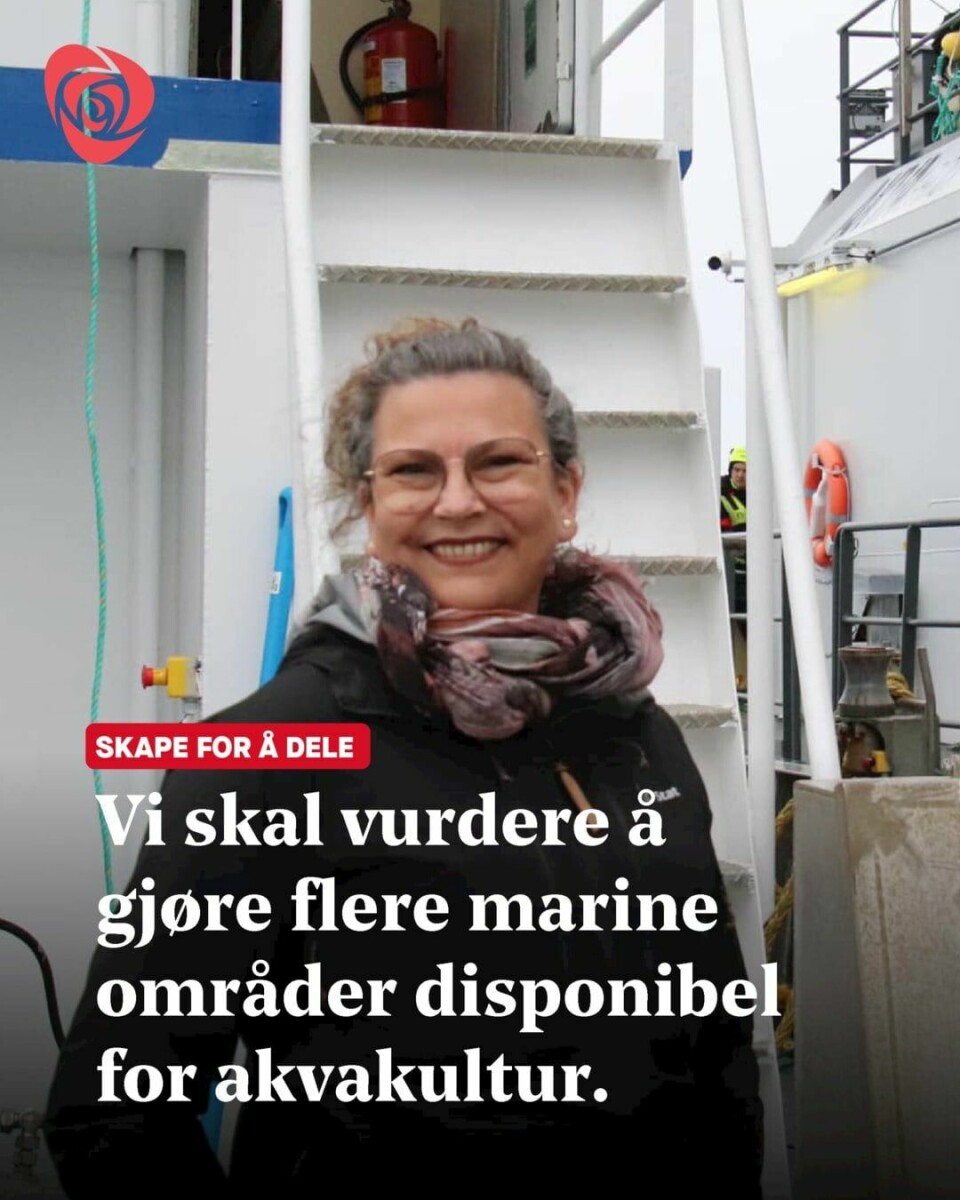 Ertes for «trøstesløse» valgplakater: – Trodde det var fleip .