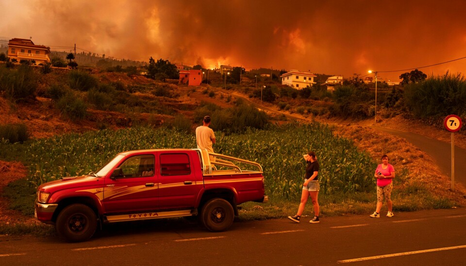 Politiet på Tenerife sier brannen som herjer på ferieøya er påsatt, opplyser regionleder Fernando Clavijo. Politiet på Tenerife sier brannen som herjer på ferieøya er påsatt, opplyser regionleder Fernando Clavijo. Foto: Arturo Rodriguez / AP / NTB