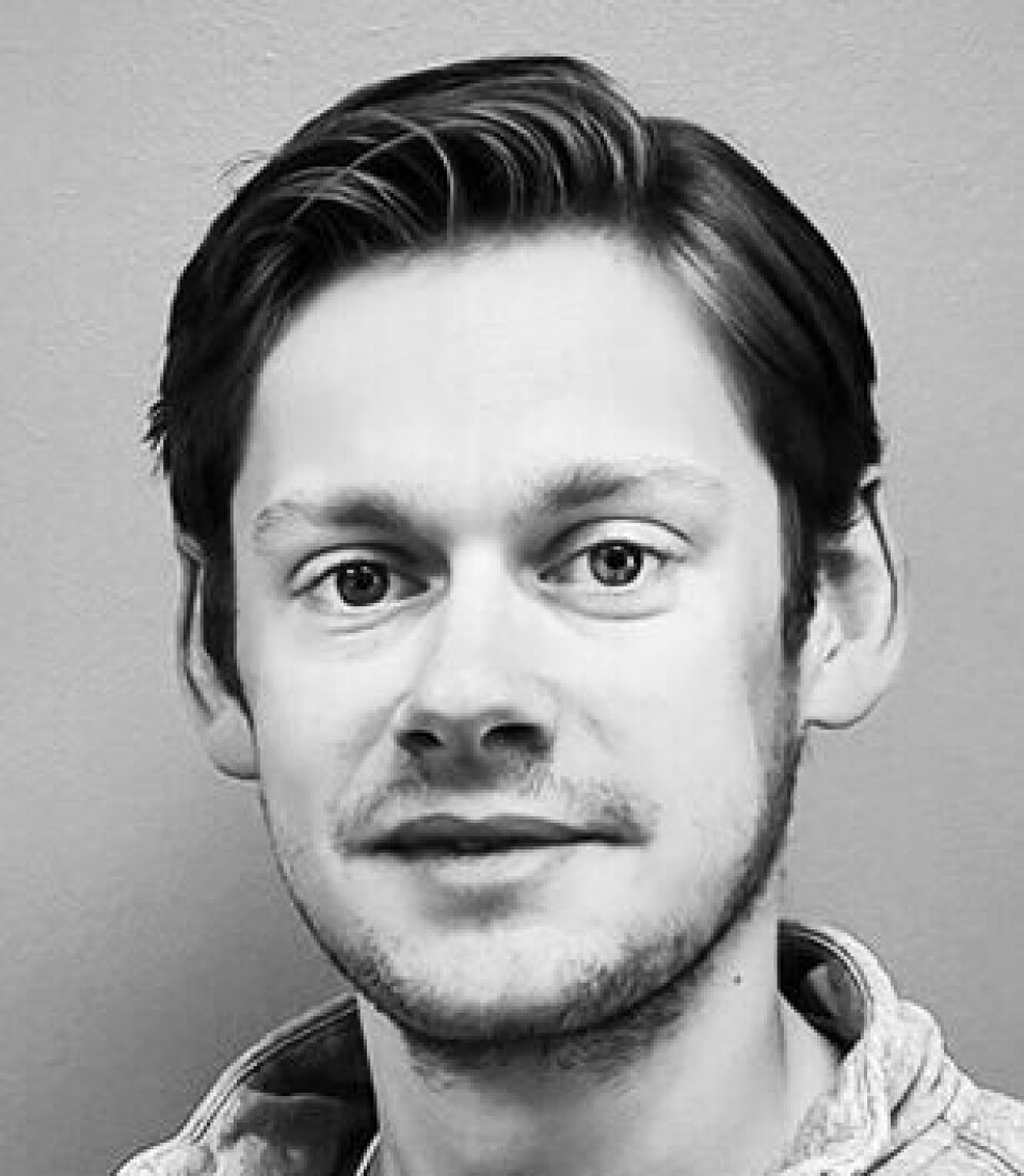 Skjalg Stokke Hougen er statsviter og rådgiver i Civita. Skjalg Stokke Hougen