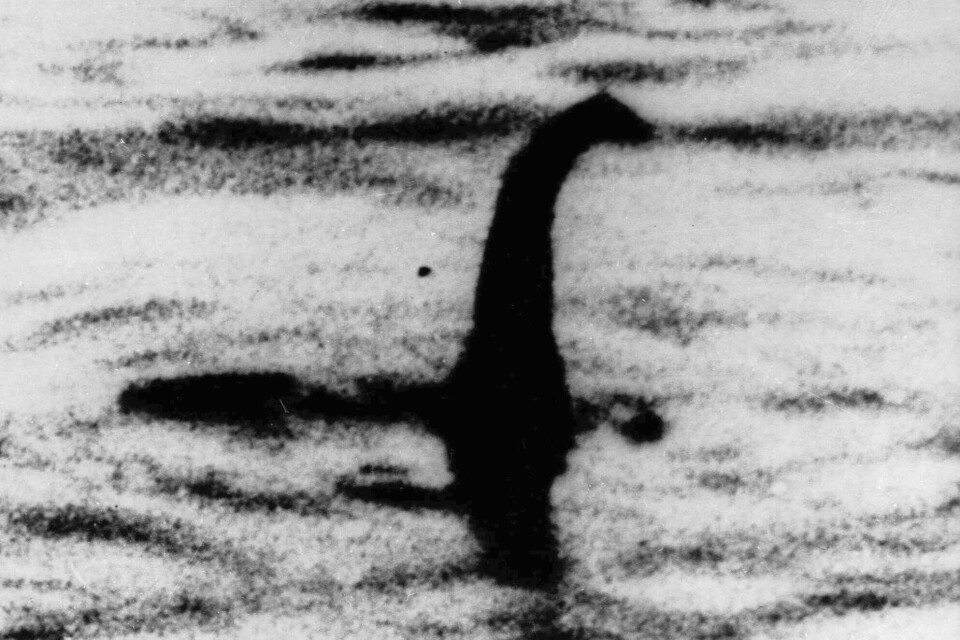 Dette udaterte arkivbildet viser en skyggeaktig skikkelse som noen mener er Loch Ness-monsteret i Skottland. Loch Ness-senteret i Skottland etterlyser nå spirende monsterjegere og frivillige til å delta i det de kaller det største søket etter Loch Ness-monsteret siden 1970-tallet. Besøksattraksjonen sa torsdag 3. august 2023 at moderne teknologi som droner som produserer varmebilder av innsjøen, vil gjennomsøke vannet på en måte som aldri har blitt gjort før. Dette udaterte arkivbildet viser en skyggeaktig skikkelse som noen mener er Loch Ness-monsteret i Skottland. Loch Ness-senteret i Skottland etterlyser nå spirende monsterjegere og frivillige til å delta i det de kaller det største søket etter Loch Ness-monsteret siden 1970-tallet. Besøksattraksjonen sa torsdag 3. august 2023 at moderne teknologi som droner som produserer varmebilder av innsjøen, vil gjennomsøke vannet på en måte som aldri har blitt gjort før.