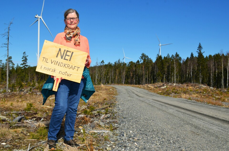 «Vi løser ikke klimakrisen ved å rasere natur. Naturkrisen er like alvorlig som klimakrisen», skriver vindkraftmotstander Kristin Brath. Kristin Brath