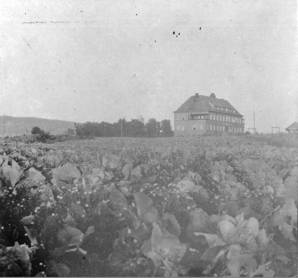 Heftyes barnehjem i Kirkeveien 173 med kålåker foran i 1915. Heftyes barnehjem i Kirkeveien 173 med kålåker foran i 1915.