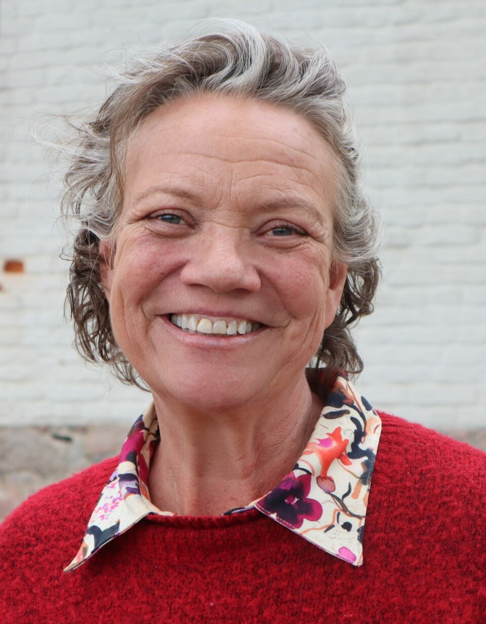 Camilla S. Eidsvold (SV), 1. kandidat til fylkestingsvalget og 3. kandidat til kommunevalget. Camilla S. Eidsvold (SV), 1. kandidat til fylkestingsvalget og 3. kandidat til kommunevalget.