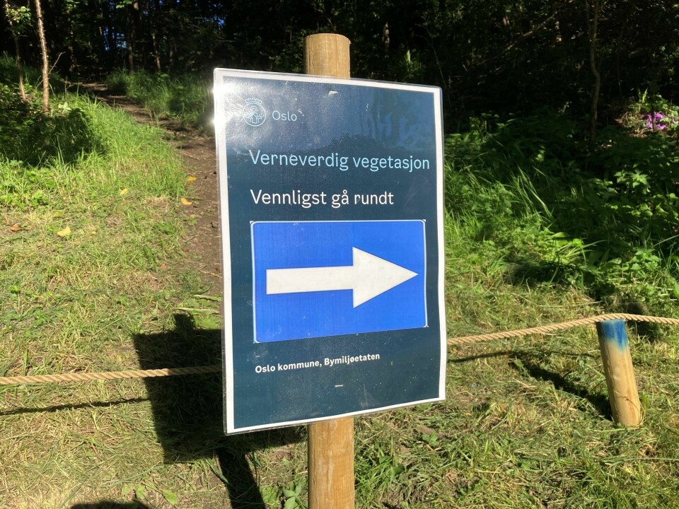 Byrådet i Oslo, med MDG i spissen, vil gjennomføre en lang rekke tiltak for å styrke naturmangfoldet i Oslo, i tillegg til det som allerede er blitt gjort. Byrådet i Oslo, med MDG i spissen, vil gjennomføre en lang rekke tiltak for å styrke naturmangfoldet i Oslo, i tillegg til det som allerede er blitt gjort.