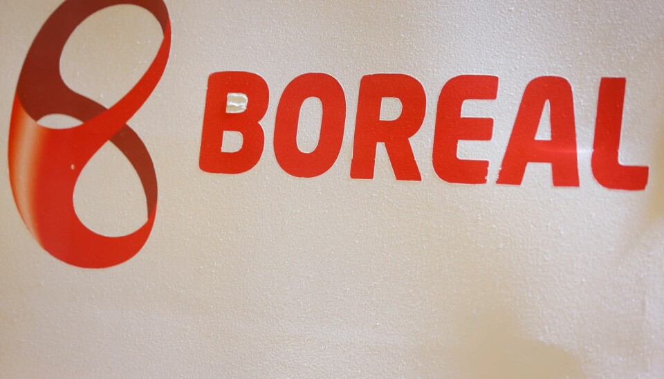Boreal ble søndag utsatt for et hackerangrep som førte til nedetid på selskapets nettsider.