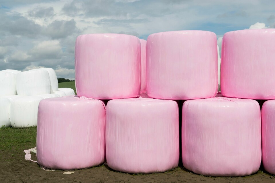 Salg av rosa rundballeplast fra Felleskjøpet støtter brystkreftforskning. Nå utvides tilgangen på et relativt nytt legemiddel mot brystkreft som ikke kan opereres. Illustrasjonsfoto. Salg av rosa rundballeplast fra Felleskjøpet støtter brystkreftforskning. Nå utvides tilgangen på et relativt nytt legemiddel mot brystkreft som ikke kan opereres. Illustrasjonsfoto: Jon Olav Nesvold / NTB