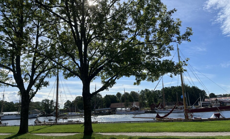 Det er flust med tilbud for barn og ungdom i Fredrikstad i høstferien. Det er flust med tilbud for barn og ungdom i Fredrikstad i høstferien.