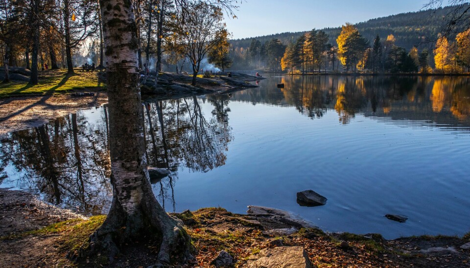 Er friluftsliv nøkkelen til lykke? spør The Guardian. Bildet viser Sognsvann i Oslomarka. Er friluftsliv nøkkelen til lykke? spør The Guardian. Bildet viser Sognsvann i Oslomarka.