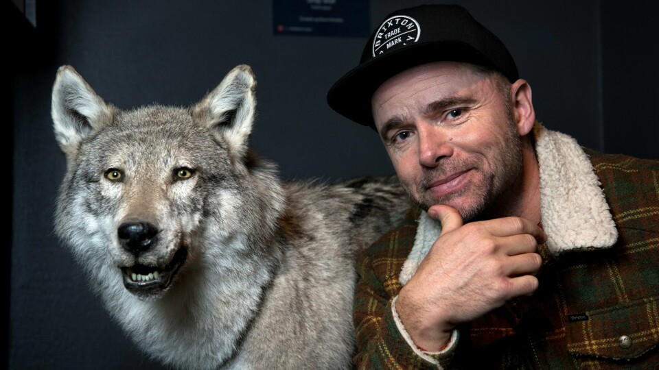 Ulven til Naturhistorisk museum i Oslo, har bitt fra seg for siste gang, men både ulveelskere og ulvehatere vil nok fortsette å bite fra seg, iallfall i hele vår levetid, tror Lars Lenth.