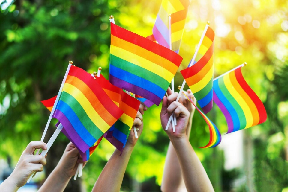 Prideflagget er ikke et symbol på ideologi, men et symbol på viktigheten av og aksepten for mangfold. Når et barn opplever at skolen eller barnehagen har heist flagget, er det et tydelig signal om at her er jeg trygg og akseptert, skriver Thale Skybak. Pride, flagg, regnbueflagg