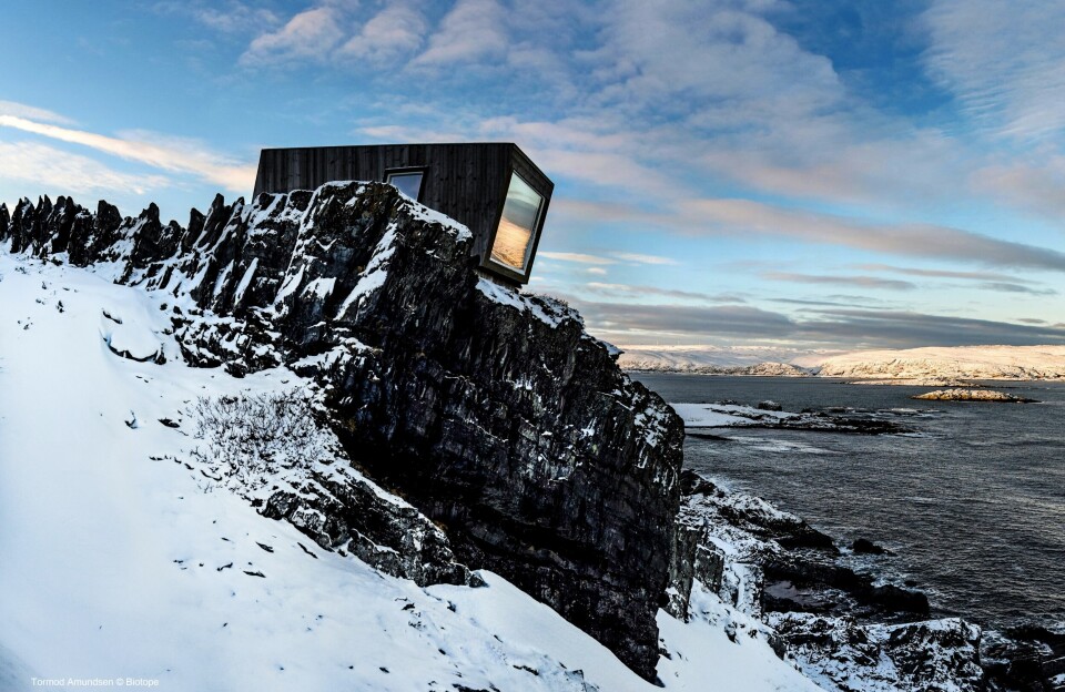 Varanger er blitt et mekka for fugle- og arkitekturinteresserte. Sjekk ut Biotopes flotte fuglekikkerskur! FOTO: TORMOD AMUNDSEN/BIOTOPE Varanger er blitt et mekka for fugle- og arkitekturinteresserte. Sjekk ut Biotopes flotte fuglekikkerskur! FOTO: TORMOD AMUNDSEN/BIOTOPE