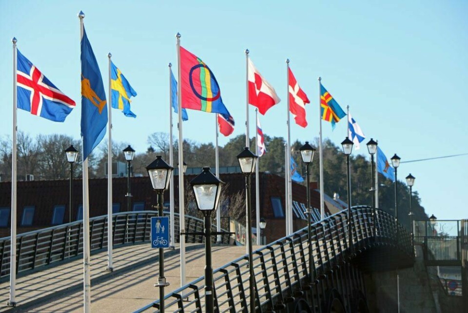 Aktivt år for Foreningen Norden
