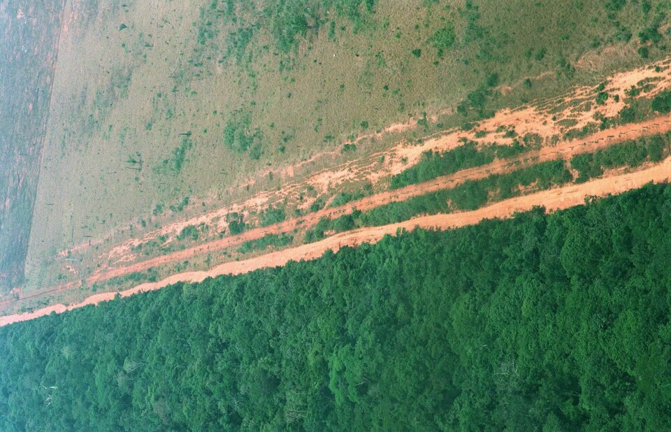Amazonas.