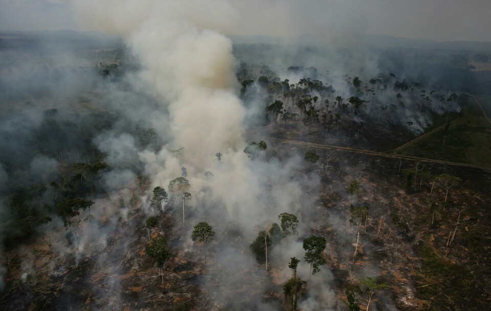 An aerial view of a tract of Amazon jungle burning as it is being cleared by loggers and farmers near the city of Novo Progresso, Para state, Brazil, September 24, 2013. Picture taken September 24, 2013. REUTERS/Nacho Doce An aerial view of a tract of Amazon jungle burning as it is being cleared by loggers and farmers near the city of Novo Progresso, Para state, Brazil, September 24, 2013. Picture taken September 24, 2013. REUTERS/Nacho Doce
