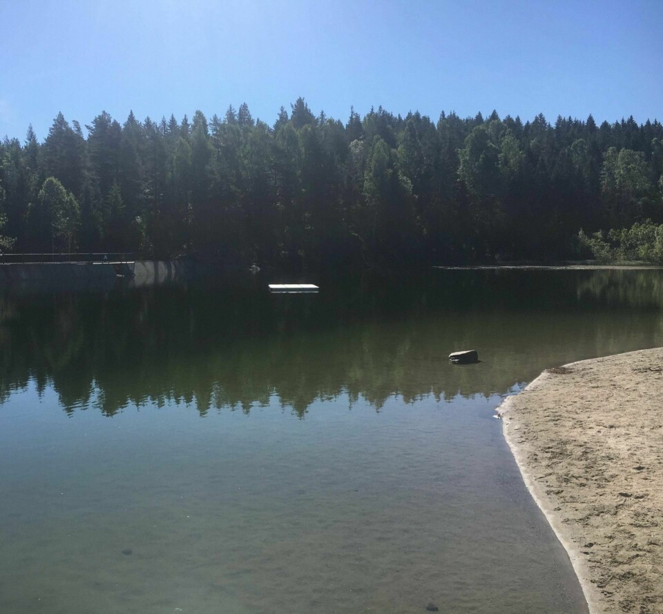 Blektjern på Austad i Drammen. FOTO: SIRI NARVERUD MOEN