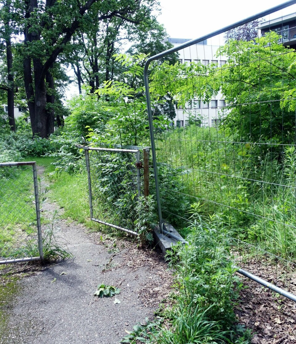 park: De grønne områdene er lite tilgjengelig for beboerne. park: De grønne områdene er lite tilgjengelig for beboerne.