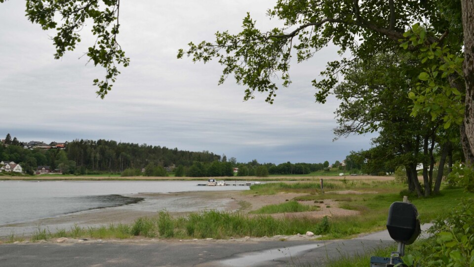 Fraråder bading på Vispen