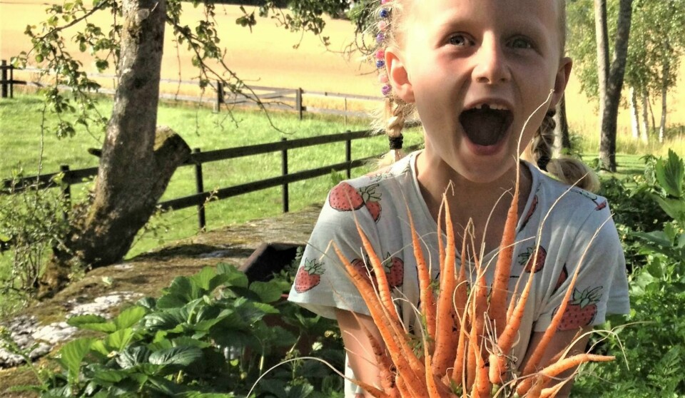 Kråkerøy ungdomsskole setter «standarden» igjen. De har etablert en fantastisk flott skolehage, med grønnsaker, frukttrær, drivhus og hønsehus, skriver Erik Skauen.
